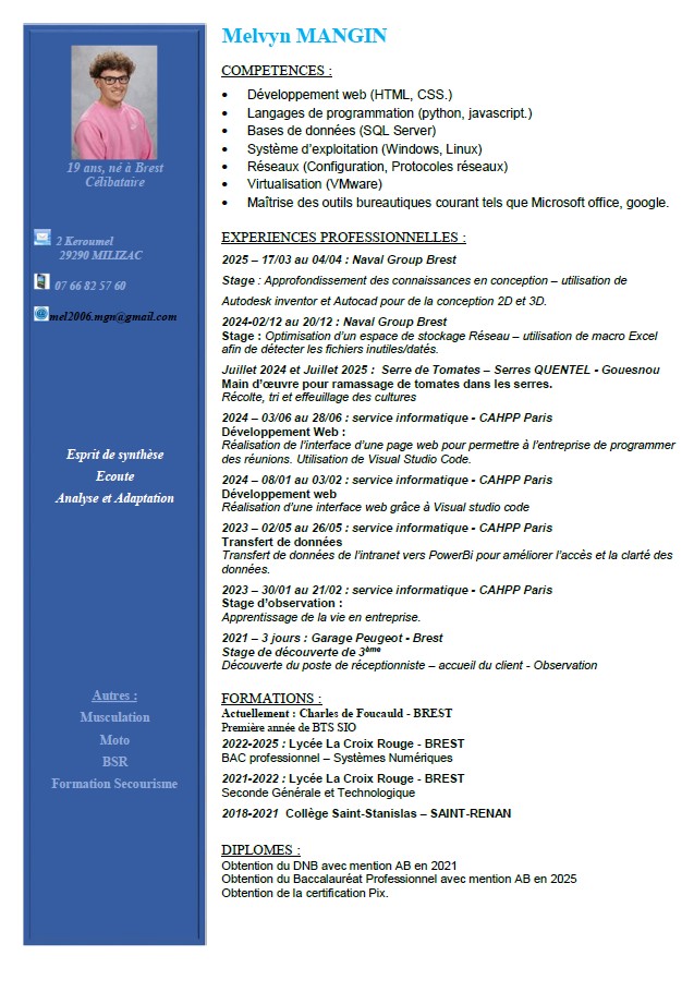 CV de Melvyn Mangin